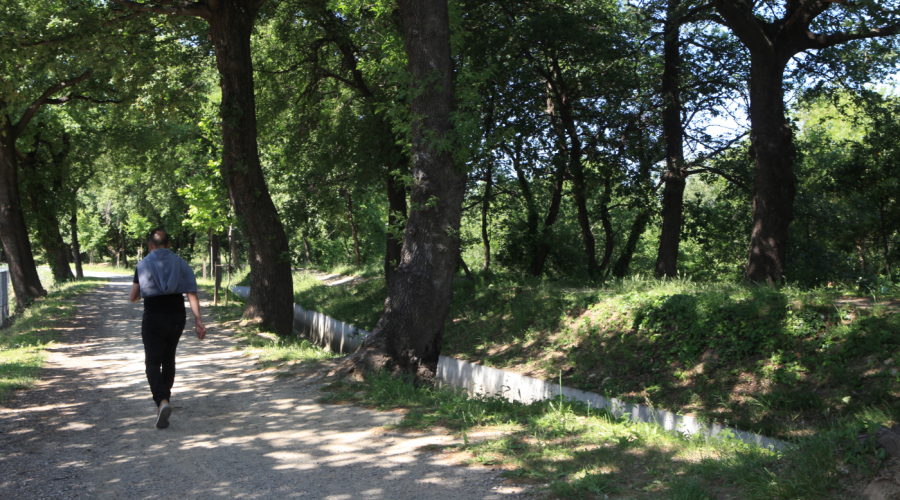 Les sites du Bois des Chênes et de Las Canals renouvellent leur label ECOJARDIN