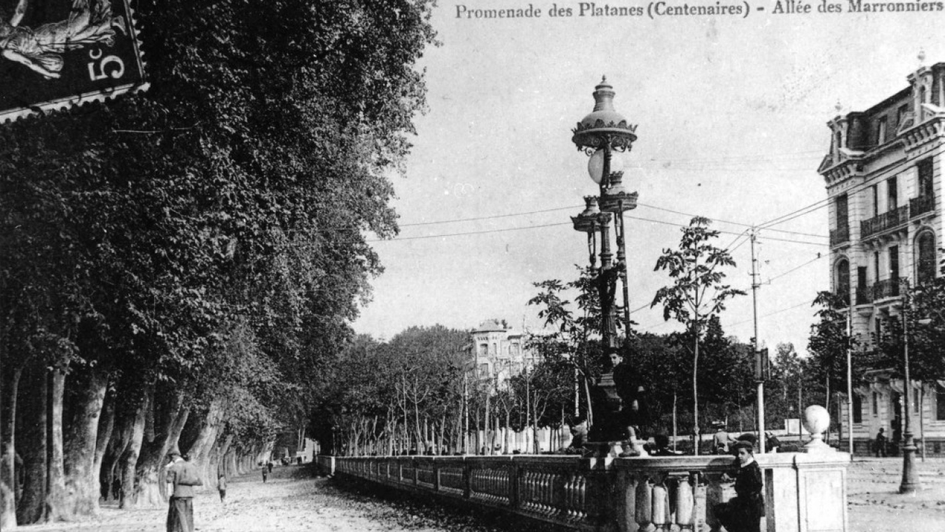 Promenade des Platanes.