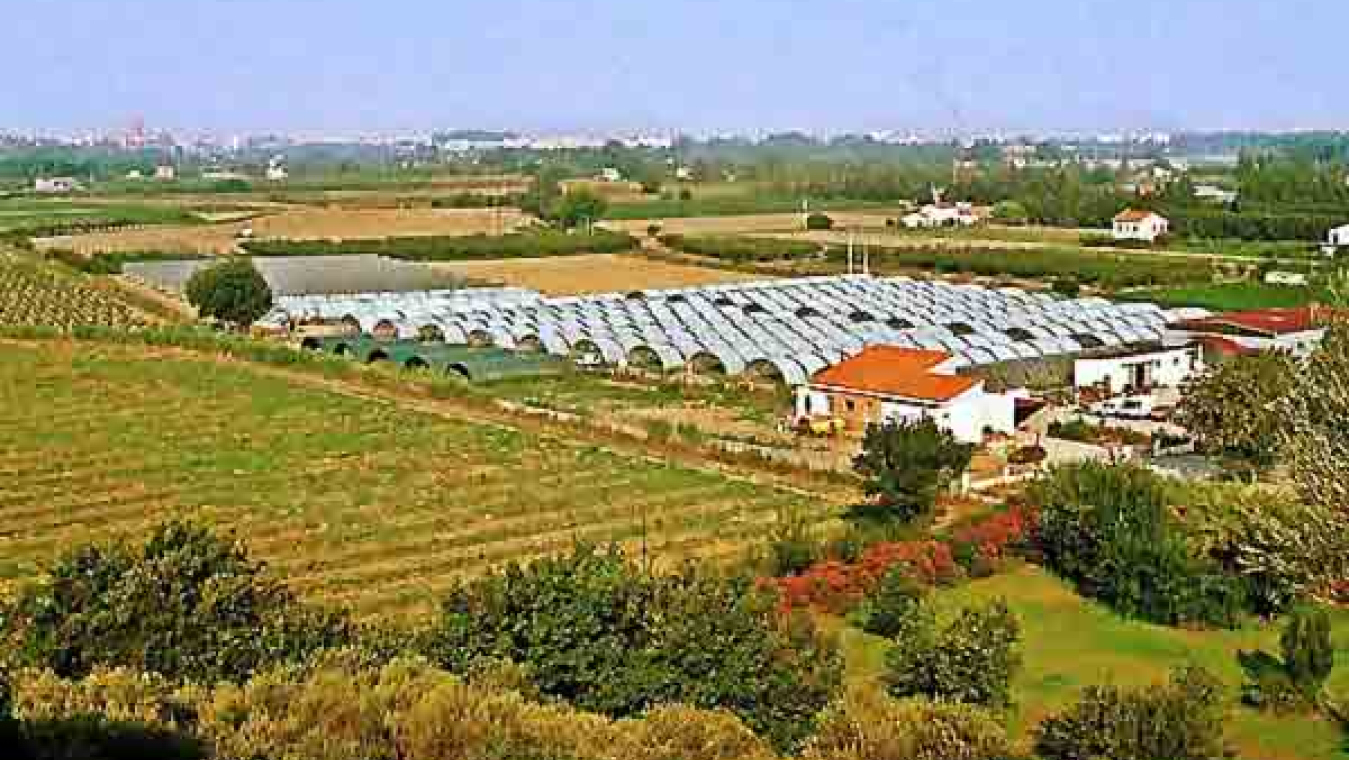 Perpignan, un territoire agricole