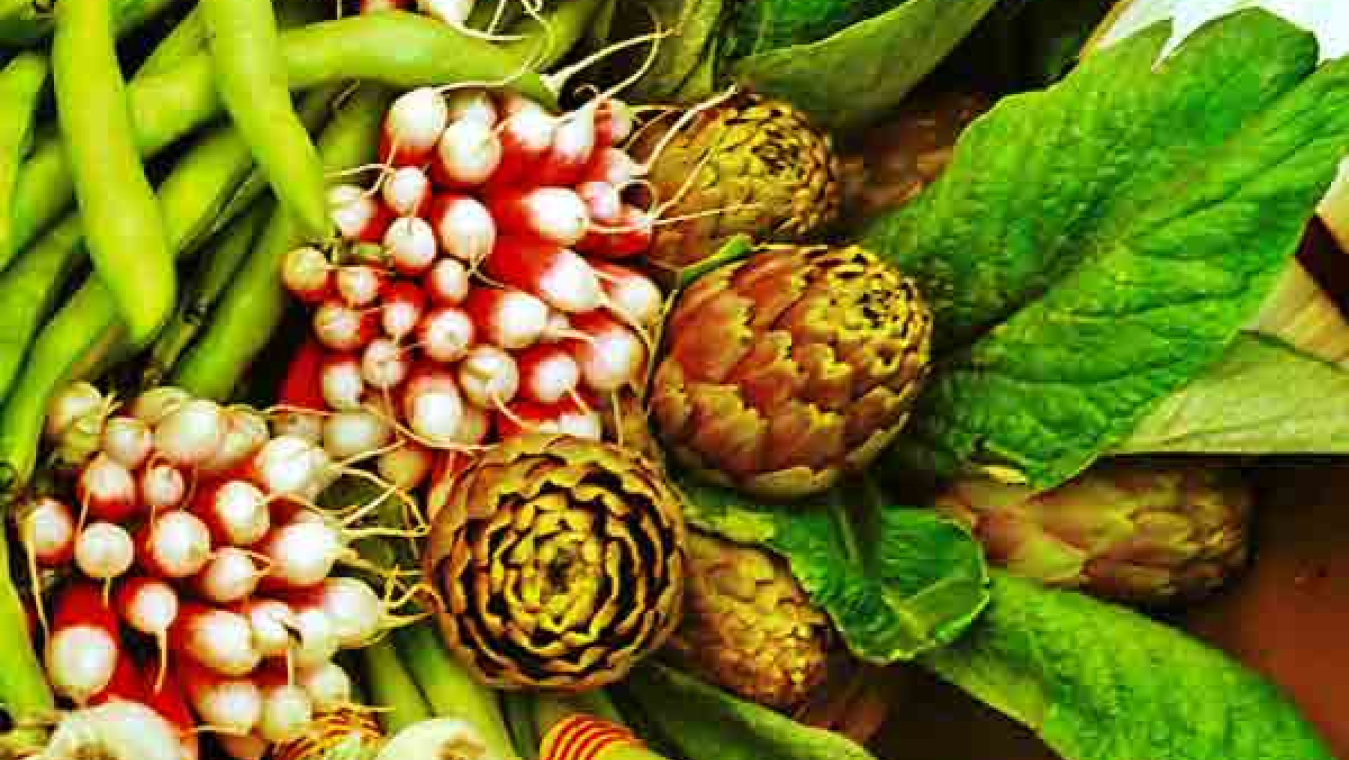 Perpignan, un territoire agricole