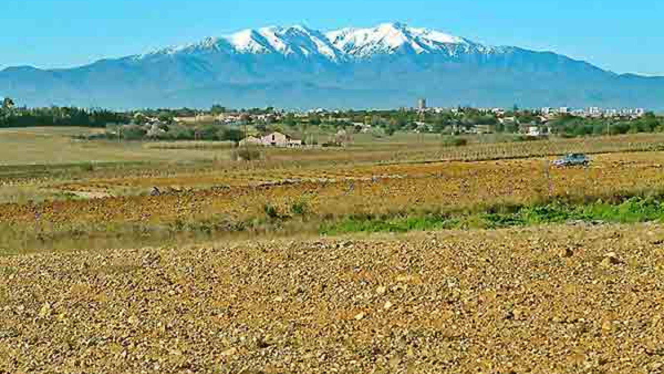 Perpignan, un territoire agricole