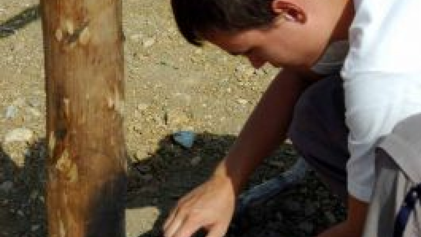 Ligature des traverses