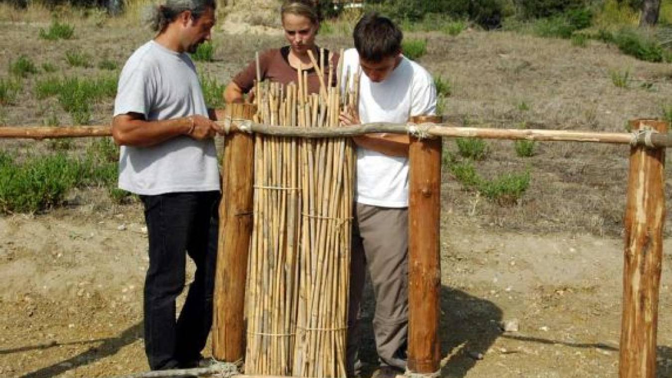 Fixation des bottes de roseaux