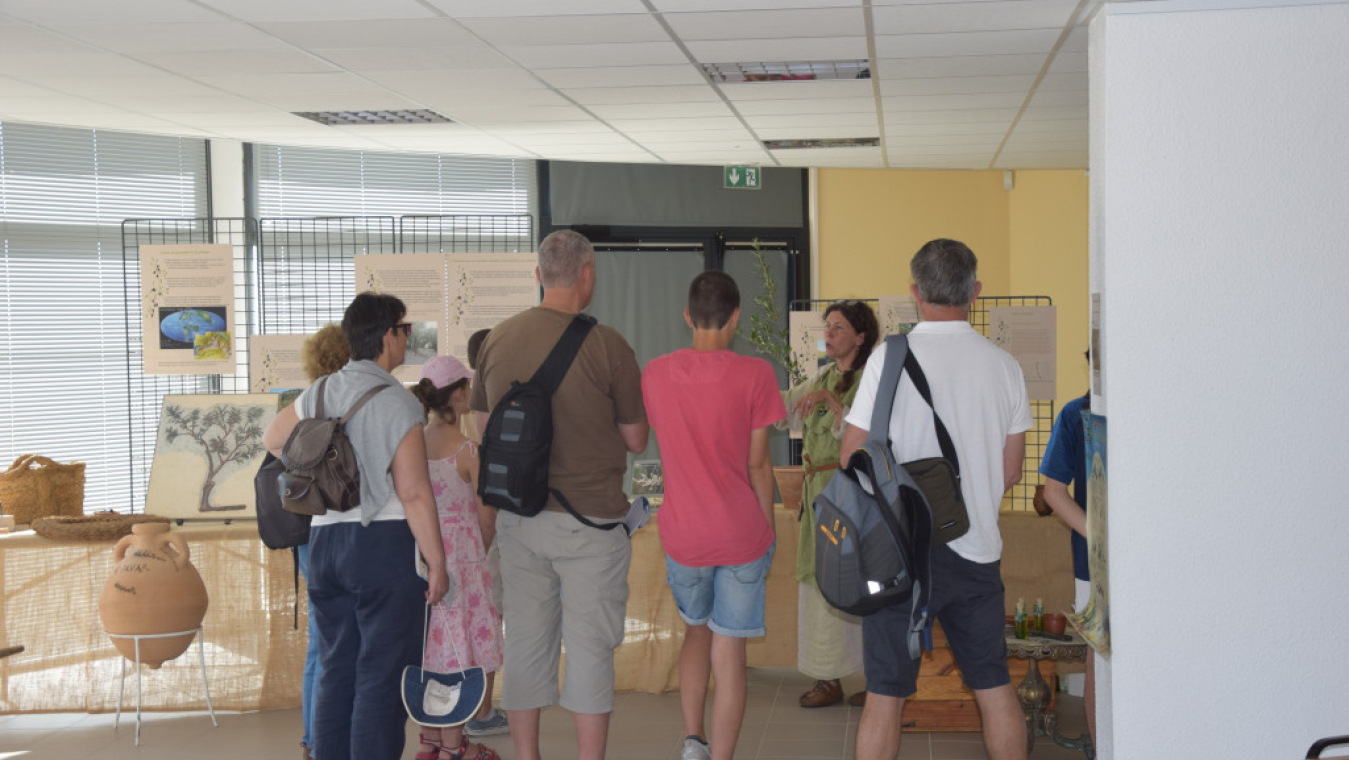 Atelier oléo-archéo (Les Champs de Paola)