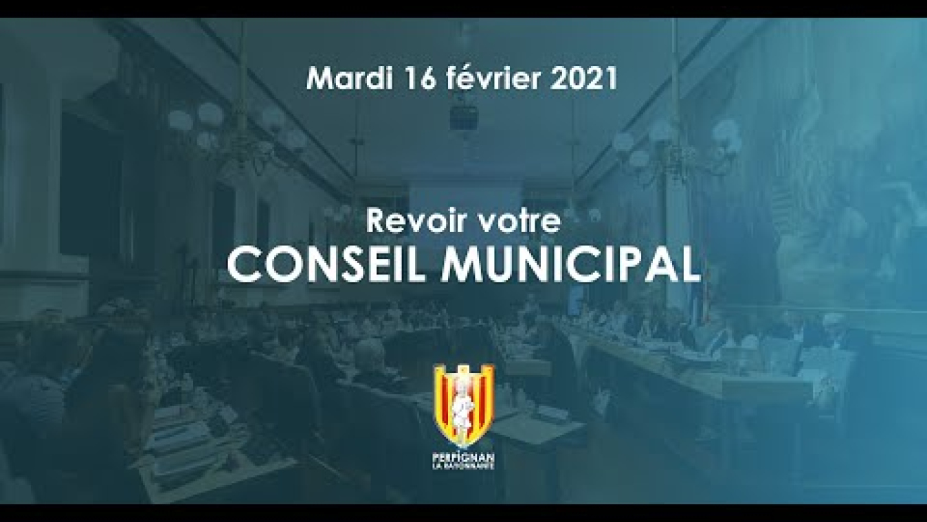 Image d'aperçu de la vidéo "Conseil municipal du 16 février 2021".