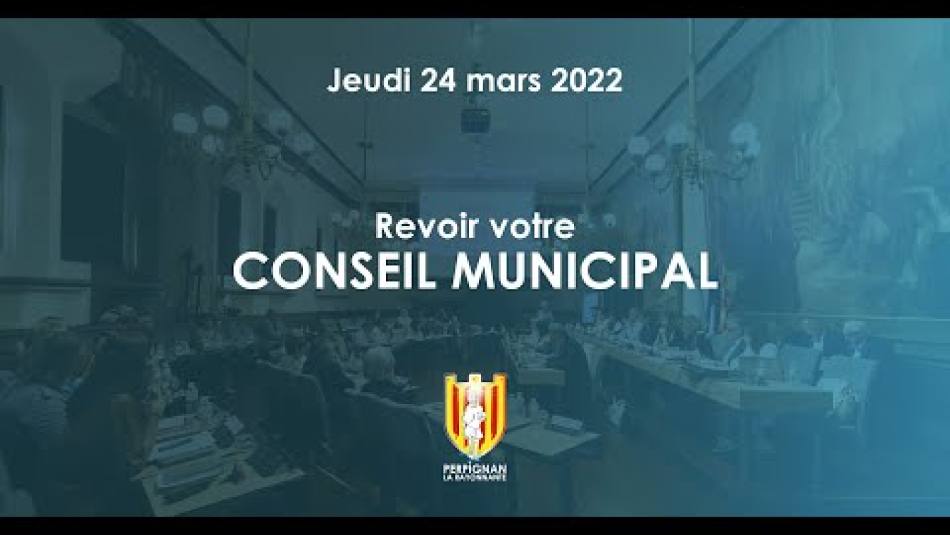 Image d'aperçu de la vidéo "Conseil municipal du 24 mars 2022".