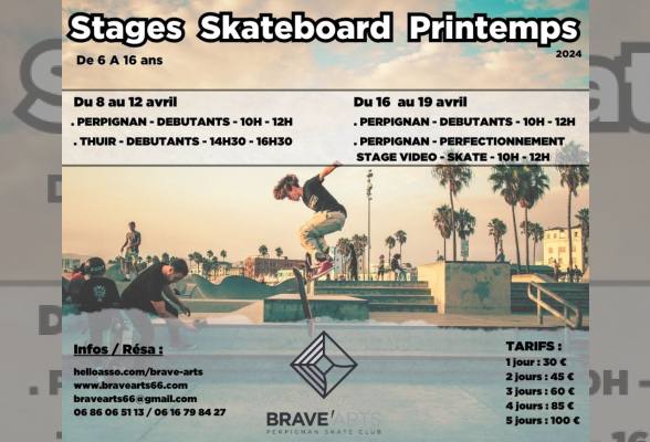 Photo N°1 : STAGES SKATEBOARD PRINTEMPS