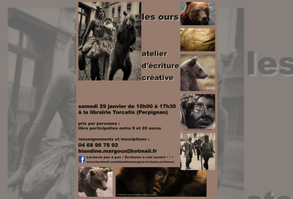 Photo N°1 : LES OURS