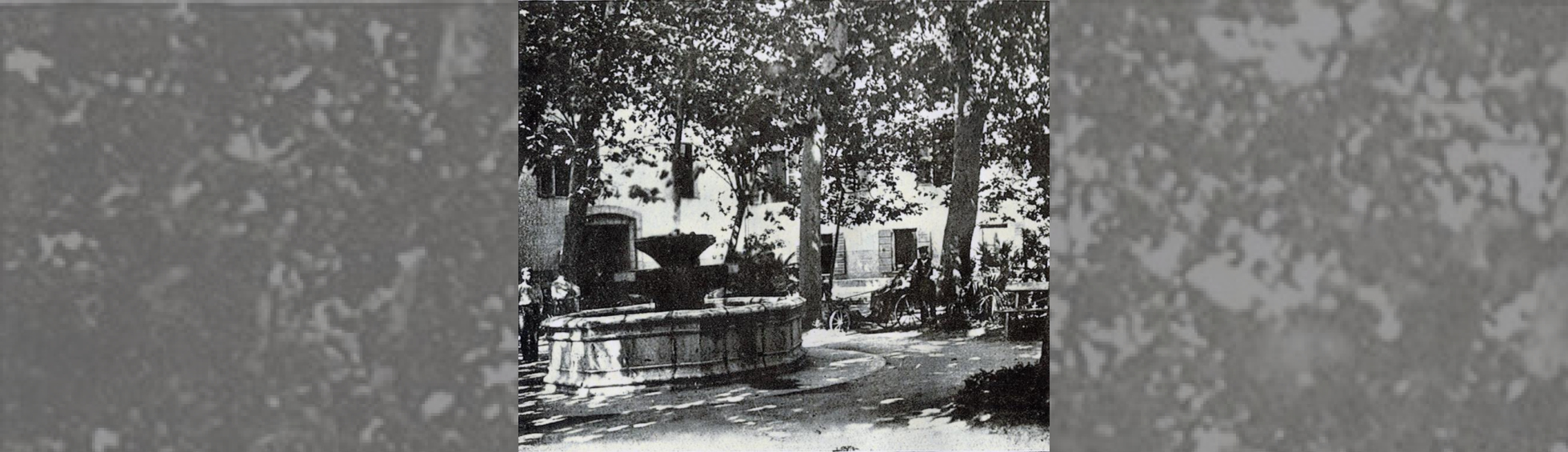 Vasque polygonale de fontaine à deux coupes en élévation, platanes faisant de l'ombre