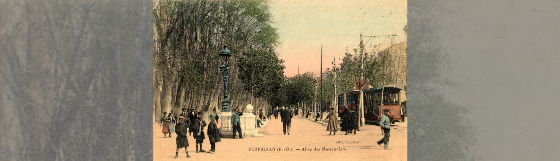 Allée des Maronniers longeant la promenade des platanes et ligne de tramway