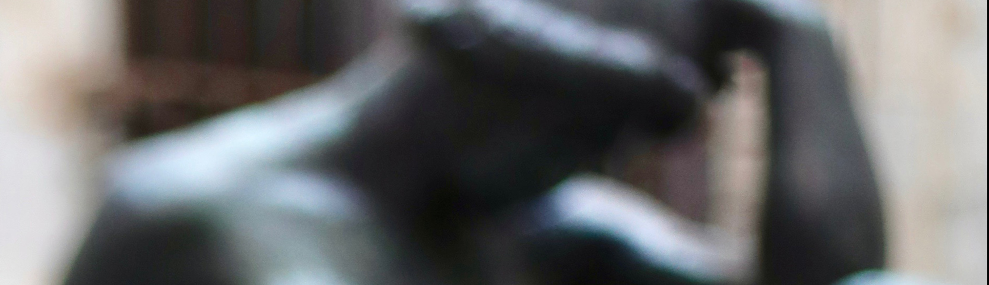 Lettre ouverte de Louis Aliot maire de Perpignan