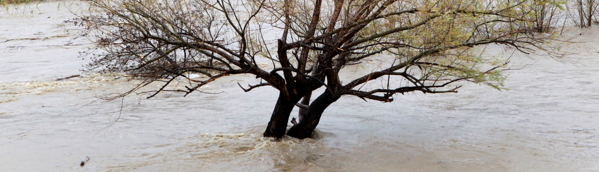 Perpignan reconnue en état de catastrophe naturelle : orage diluvien du 12 septembre 2023