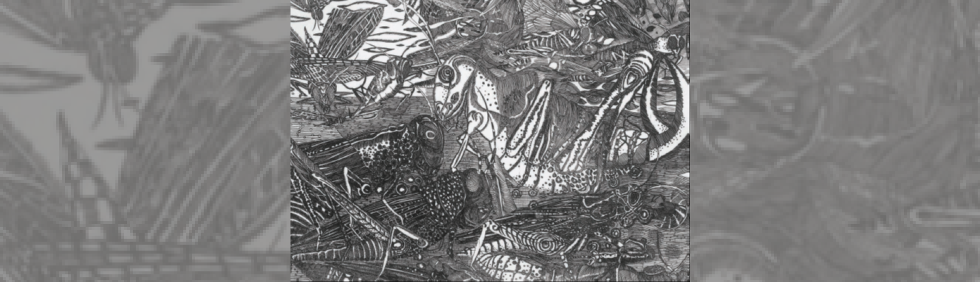 Invasion, Eau Forte sur Zinc, 40 X 50 cm, 2010