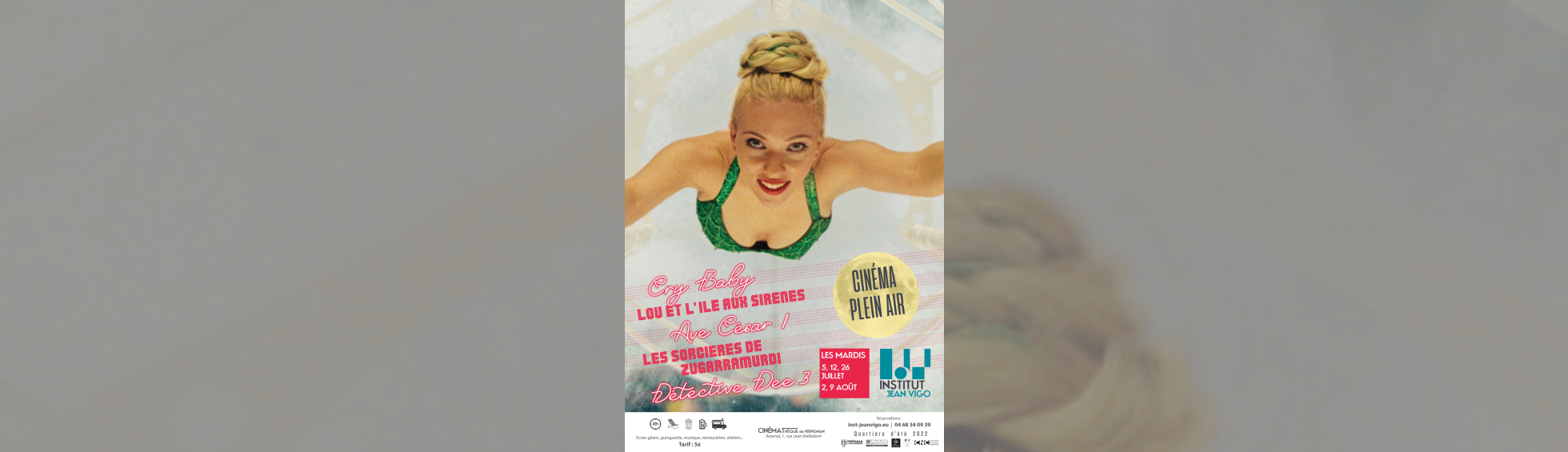 Cinéma en plein air - photo affiche cinéma 