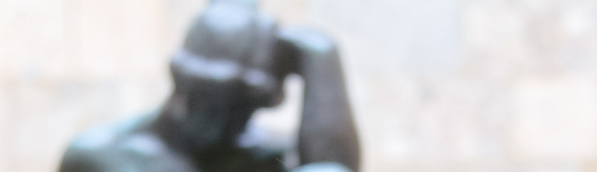 Marie-Thérèse COSTA-FESENBECK