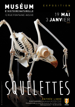 Muséeum - exposition "Squelettes"
