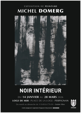 Affiche Exposition Michel Domerg