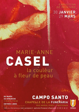 Affiche CASEL