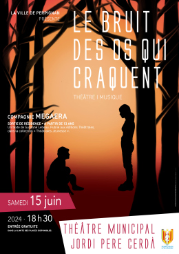 "Le Bruit des os qui craquent" par la Compagnie MEGAERA - Affiche représentant deux personnages en ombre chinoise l'un est debout et le deuxième en face est assis au sol