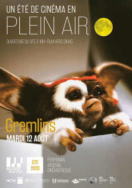 Affiche projection Les Gremlins 